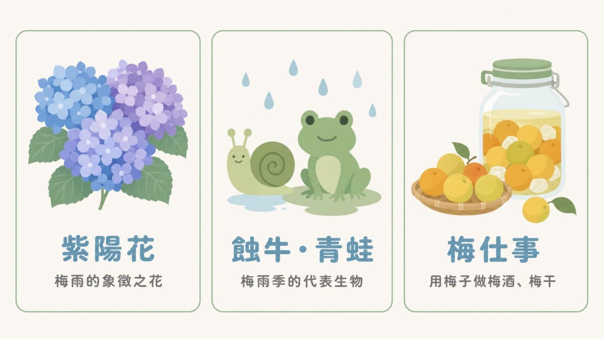 日本梅雨文化介紹：紫陽花、蝸牛青蛙與梅仕事，梅雨季節的日本生活風景
