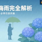 日本梅雨完全解析：雨季文化與必學日語詞彙，一次搞懂梅雨季節