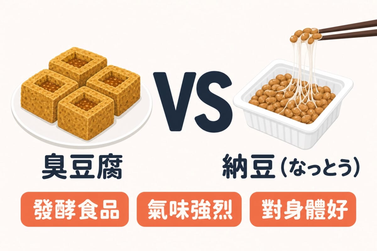 臭豆腐與日本納豆的比較圖——同為發酵食品的日語介紹技巧
