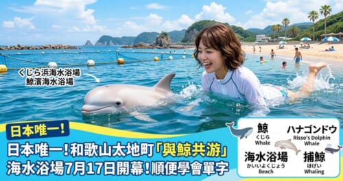 和歌山太地町「與鯨共游」海水浴場活動的部落格封面圖，畫面呈現夏日湛藍的海水與可愛的鯨魚，並帶有實用旅遊日語單字學習的主題標題。