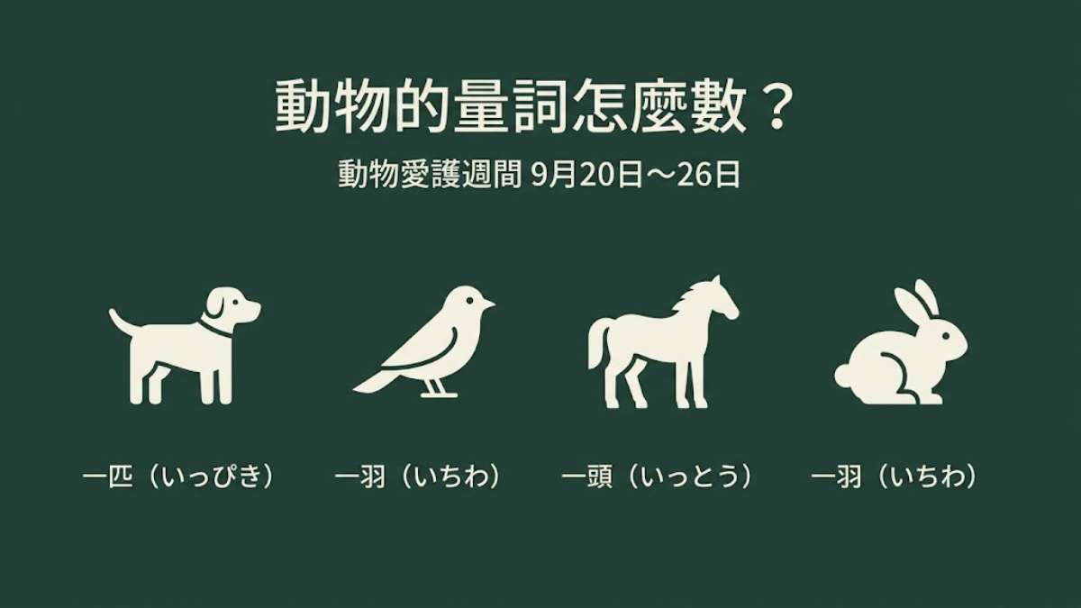 9月20日是日本動物愛護週間！狗用「匹」兔子用「羽」？寵物日文與動物叫聲一次學會