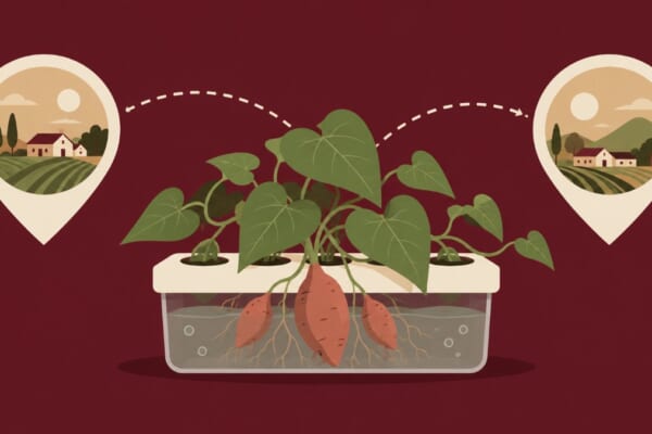 嘉義熊本農業交流插圖