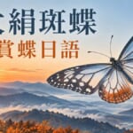 大絹斑蝶賞蝶日語