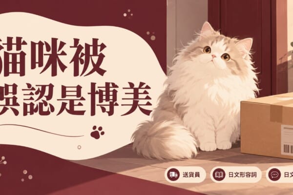 貓咪誤認博美のイメージ画像