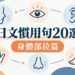 日文慣用句20選:身體部位篇!「顔が広い」是什麼?